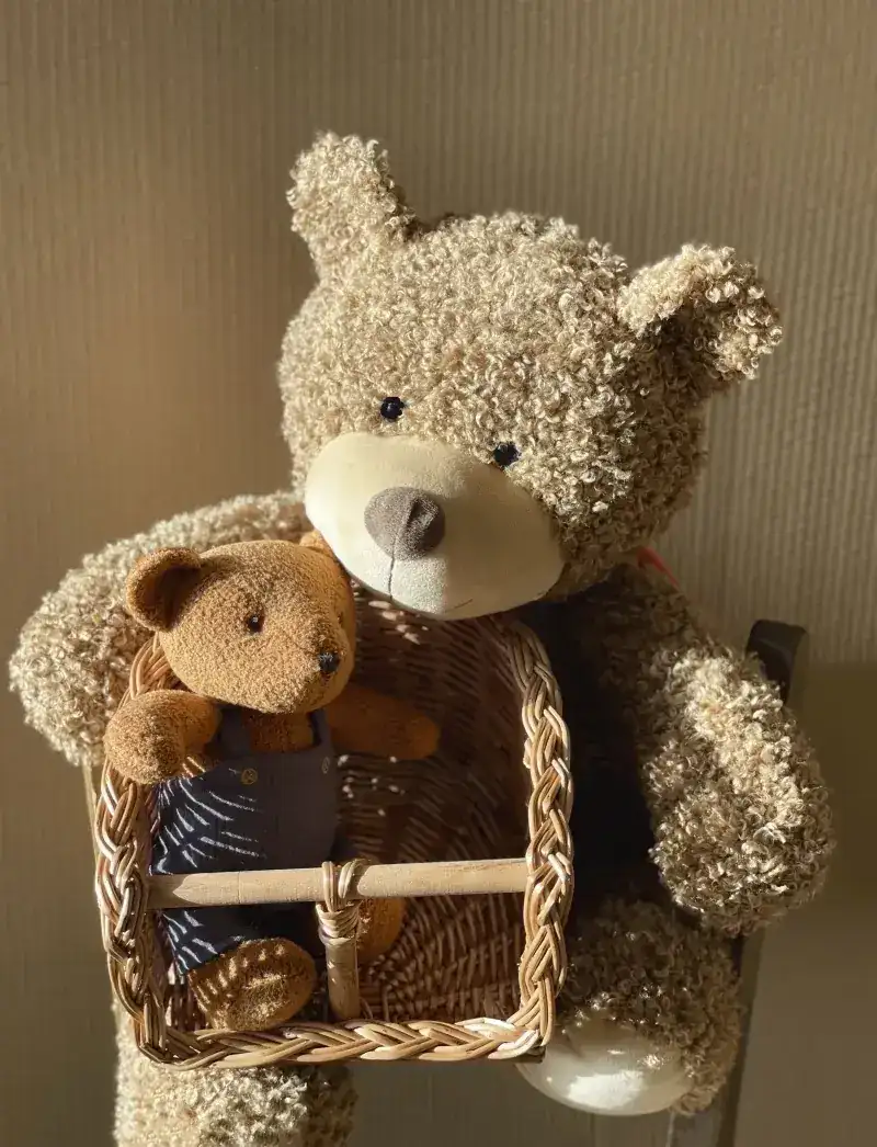 Panier de vélo pour poupée – Image 2